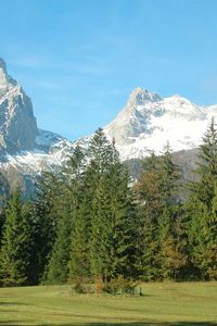 Preview wallpaper mountains, alps, trees, grass