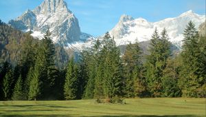 Preview wallpaper mountains, alps, trees, grass