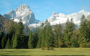 Preview wallpaper mountains, alps, trees, grass