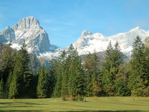 Preview wallpaper mountains, alps, trees, grass