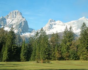 Preview wallpaper mountains, alps, trees, grass