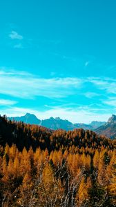 Preview wallpaper mountains, autumn, trees, sky, landscape