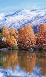 Preview wallpaper mountains, autumn, trees, reflection, lake, sun