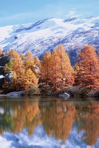 Preview wallpaper mountains, autumn, trees, reflection, lake, sun