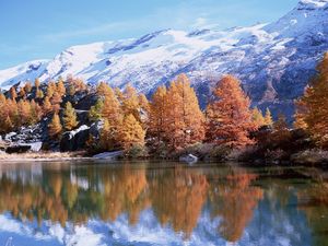 Preview wallpaper mountains, autumn, trees, reflection, lake, sun