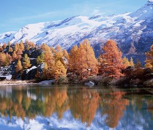 Preview wallpaper mountains, autumn, trees, reflection, lake, sun