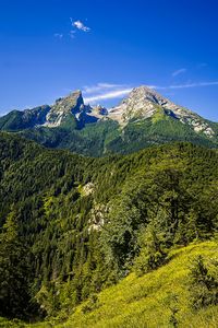 Preview wallpaper mountains, blue sky, forest, nature, landscape, travel