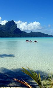 Preview wallpaper mountains, blue water, lagoon, gulf, branches, palm tree, motorcycles