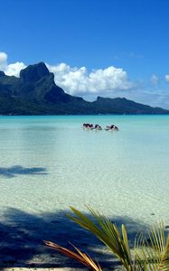 Preview wallpaper mountains, blue water, lagoon, gulf, branches, palm tree, motorcycles