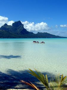 Preview wallpaper mountains, blue water, lagoon, gulf, branches, palm tree, motorcycles