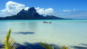 Preview wallpaper mountains, blue water, lagoon, gulf, branches, palm tree, motorcycles