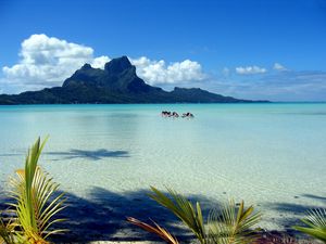 Preview wallpaper mountains, blue water, lagoon, gulf, branches, palm tree, motorcycles
