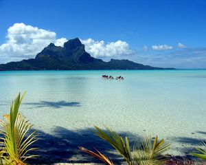 Preview wallpaper mountains, blue water, lagoon, gulf, branches, palm tree, motorcycles