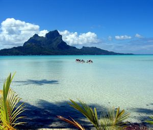 Preview wallpaper mountains, blue water, lagoon, gulf, branches, palm tree, motorcycles