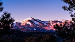 Preview wallpaper mountains, branch, needles, forest