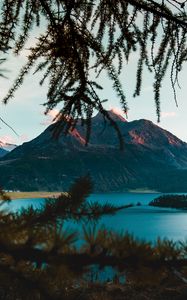 Preview wallpaper mountains, branches, lake, switzerland