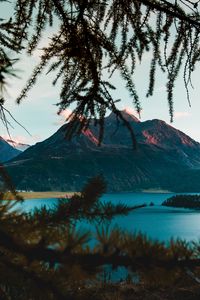 Preview wallpaper mountains, branches, lake, switzerland