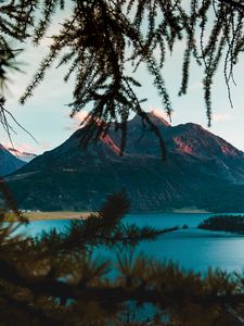 Preview wallpaper mountains, branches, lake, switzerland