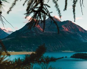 Preview wallpaper mountains, branches, lake, switzerland