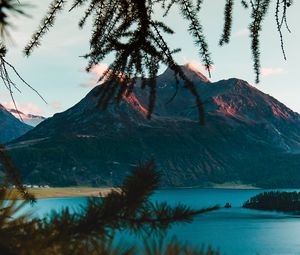 Preview wallpaper mountains, branches, lake, switzerland