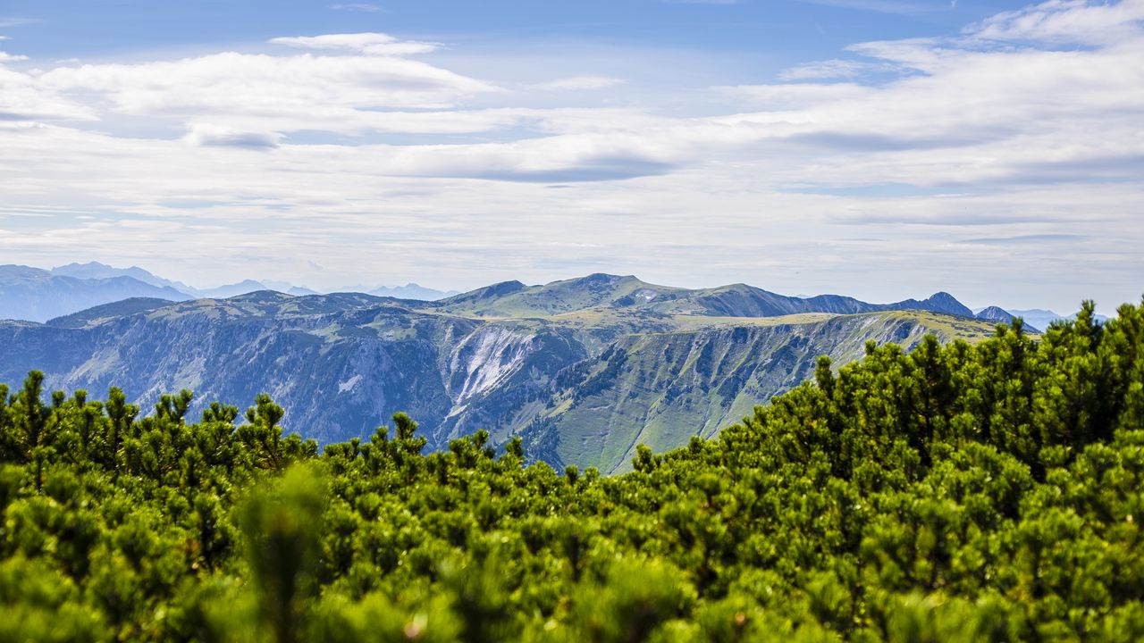 Wallpaper mountains, bushes, landscape