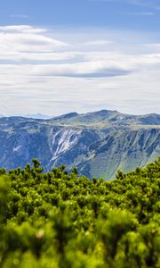 Preview wallpaper mountains, bushes, landscape