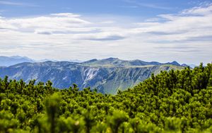 Preview wallpaper mountains, bushes, landscape