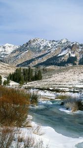 Preview wallpaper mountains, bushes, spring, snow, water, idaho