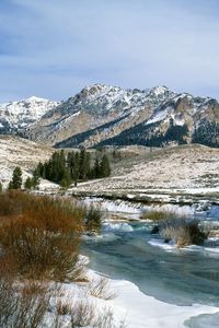 Preview wallpaper mountains, bushes, spring, snow, water, idaho