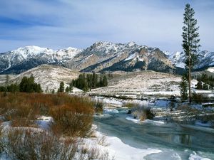 Preview wallpaper mountains, bushes, spring, snow, water, idaho