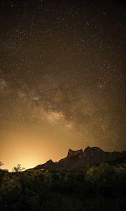 Preview wallpaper mountains, bushes, starry sky