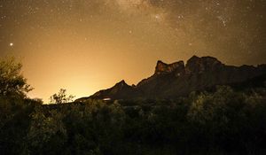 Preview wallpaper mountains, bushes, starry sky