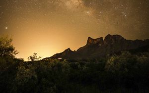 Preview wallpaper mountains, bushes, starry sky