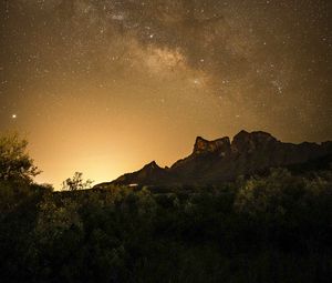 Preview wallpaper mountains, bushes, starry sky