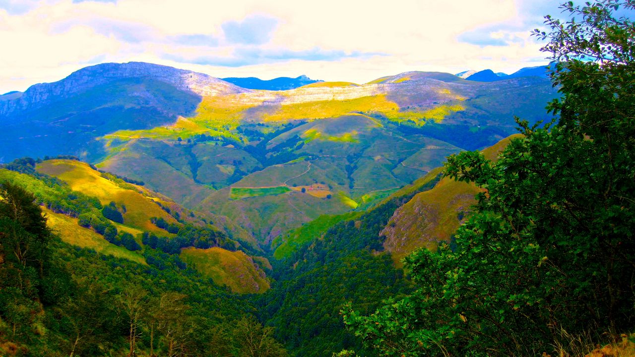 Wallpaper mountains, bushes, trees, landscape