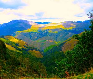 Preview wallpaper mountains, bushes, trees, landscape