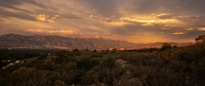 Preview wallpaper mountains, bushes, valley, landscape