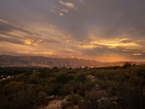 Preview wallpaper mountains, bushes, valley, landscape