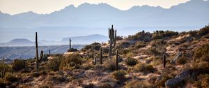 Preview wallpaper mountains, cacti, bushes, stones, landscape