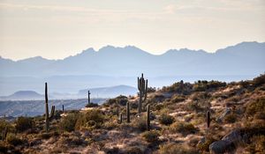 Preview wallpaper mountains, cacti, bushes, stones, landscape