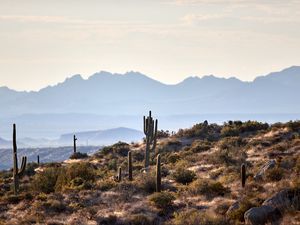 Preview wallpaper mountains, cacti, bushes, stones, landscape