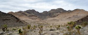 Preview wallpaper mountains, cacti, bushes, landscape