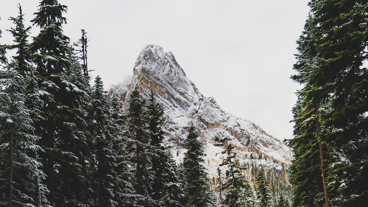 Wallpaper mountains, car, road, snow, snowy