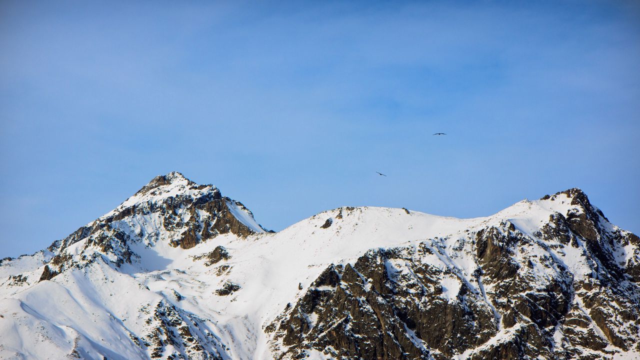 Wallpaper mountains, caucasus, snow, dombai, top, birds, height