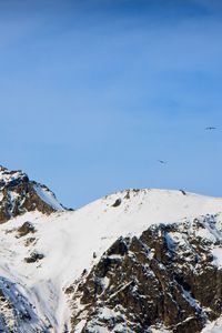 Preview wallpaper mountains, caucasus, snow, dombai, top, birds, height