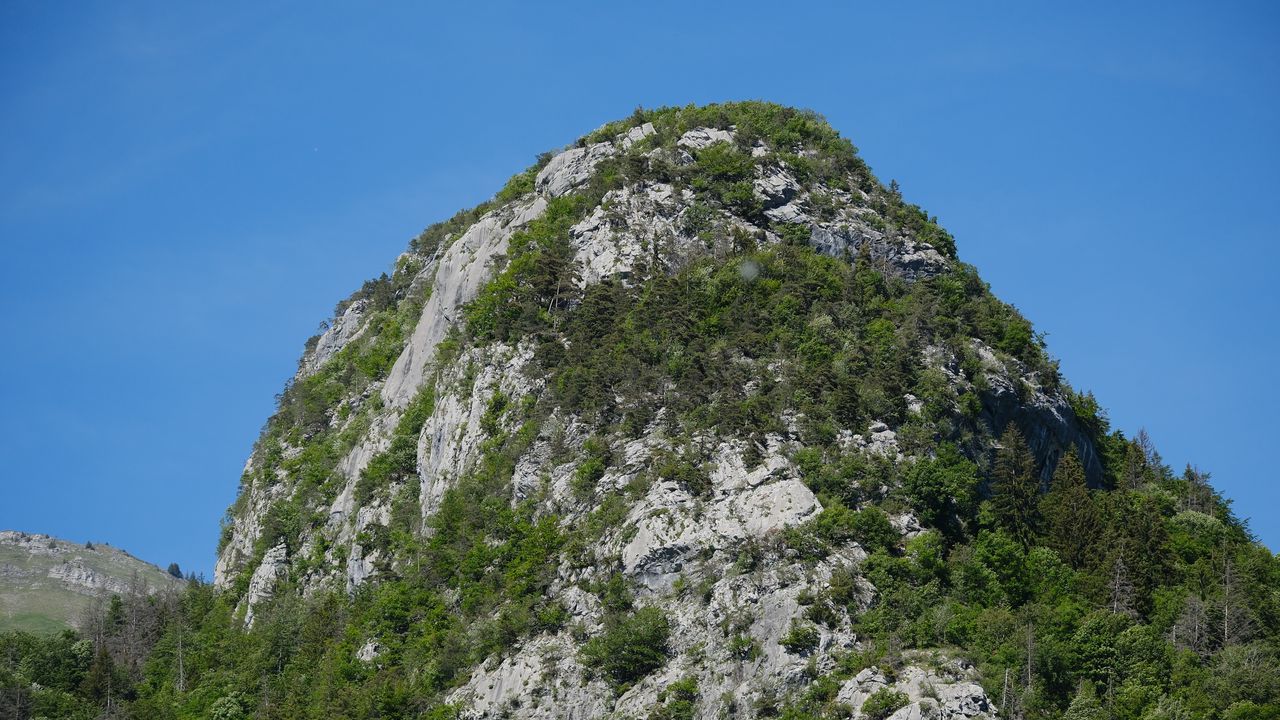 Wallpaper mountains, cliff, trees, nature, forest, slope, landscape