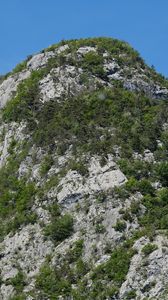 Preview wallpaper mountains, cliff, trees, nature, forest, slope, landscape
