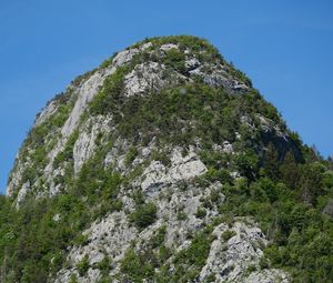 Preview wallpaper mountains, cliff, trees, nature, forest, slope, landscape