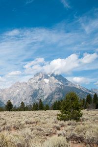 Preview wallpaper mountains, clouds, field, trees, landscape, nature