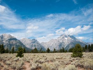 Preview wallpaper mountains, clouds, field, trees, landscape, nature